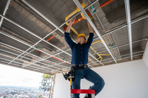 Best Affordable Plumber Near Me  in Harbour Heights, FL